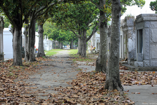 Cemetery path2