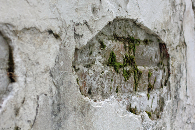 Cemetary wall