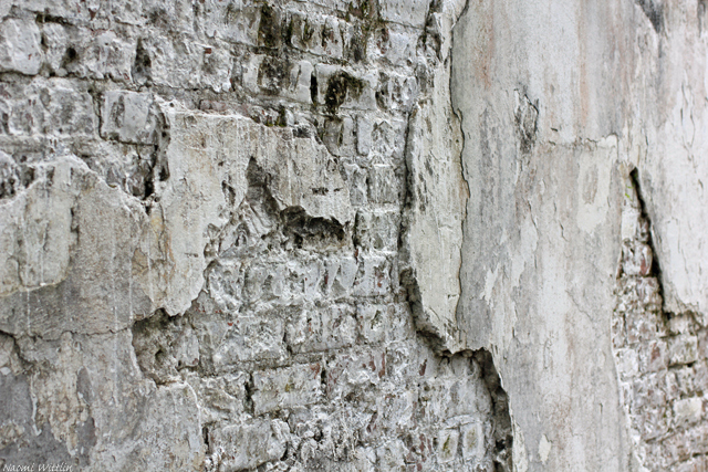 Cemetary wall3