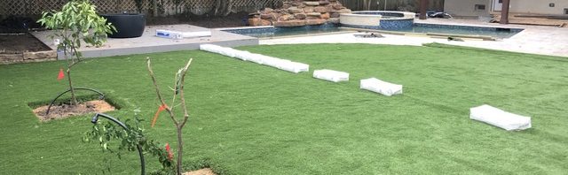 House update #21: turf, lighting, etc.